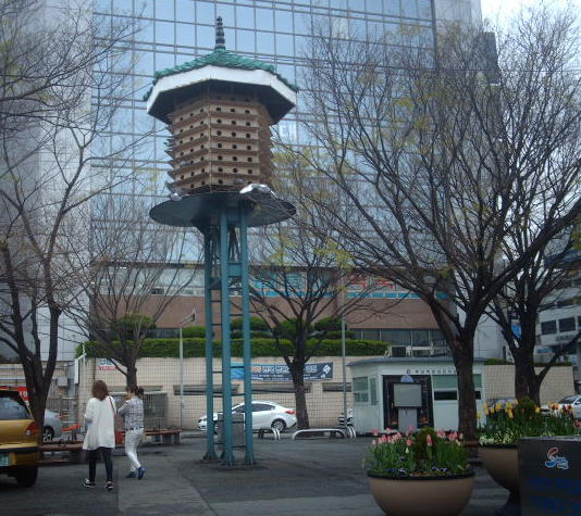 Dovecote by the Busan Bus/Train Station next to the fountain.